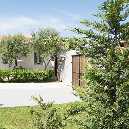 Vila Pierina House Tsilivi  Exteriér fotografie